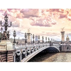 Toile imprimée pont de Paris Dada Art montée sur châssis bois en pin 60x80 cm