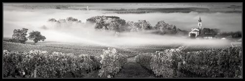 Toile imprimée Vignes montée sur châssis bois en pin 45x130 cm