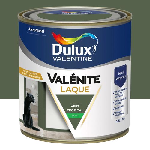 Laque acrylique Valénite Dulux Valentine vert tropical satin 500ml
