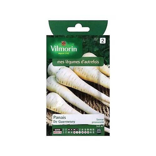 Graines De Panais Variété "Guernesey" Vilmorin Semis De Mars À Juin
