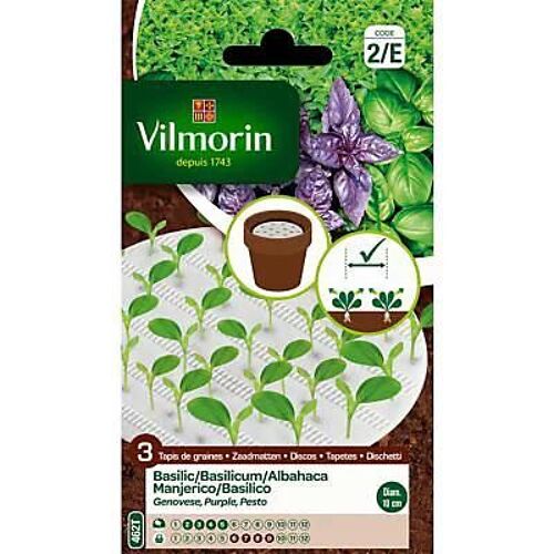 Graines En Tapis Trio De Basilic 3 X 10 Cm