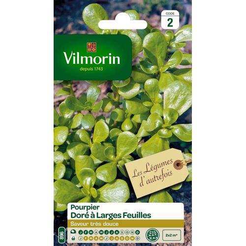 Graines De Pourpier Variété "Doré À Larges Feuilles" Vilmorin Semis De Décembre À Mars Et De Mai À Août