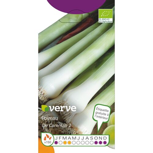 Graines De Poireau Variété "Carentan 2" Verve Semis De Mars À Avril