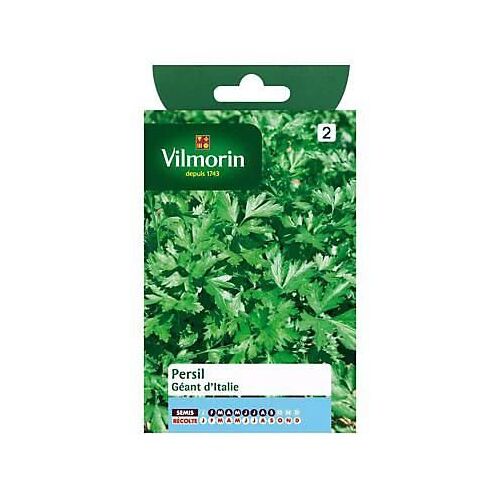 Graines De Persil Variété "Géant D'italie" Vilmorin Semis De Février À Septembre