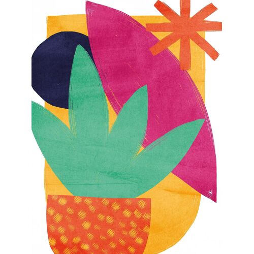Affiche fleurs multicouleurs l.30 x H.40 cm Dada Art