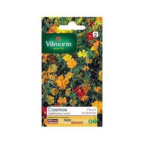 Graines De Cosmos Sulphureus Varié Vilmorin