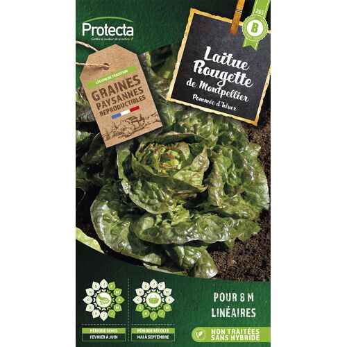 Graines De Laitue Variété "Rougette De Montpellier" Protecta Semis De Février À Juin