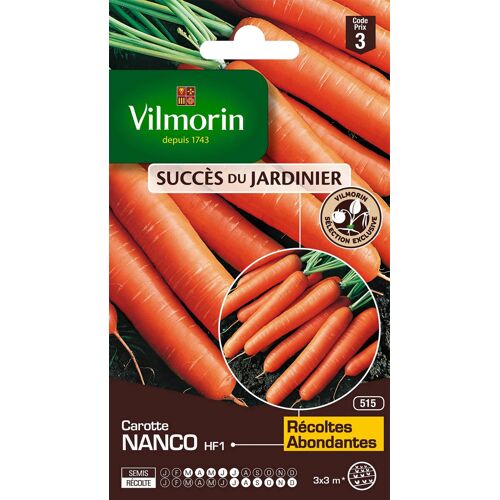 Graines De Carotte Variété "Nanco Hf1" Vilmorin Semis De Mars À Juillet