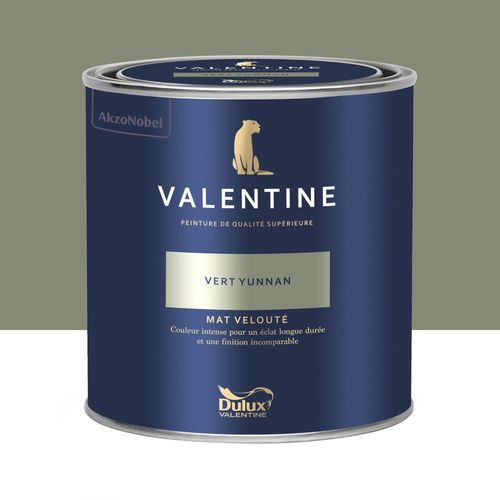 Peinture intérieure couleur mur et plafond Valentine mat velouté vert yunnan 0,5L