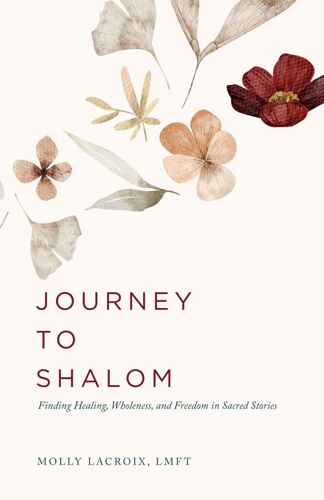 Journey To Shalom