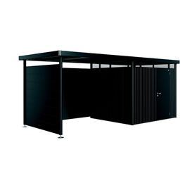 Paroi Latérale Pour Auvent Taille S Et L Biohort En Métal Coloris Gris Foncé Métallique Pour Abris De Jardin Série Highline H3