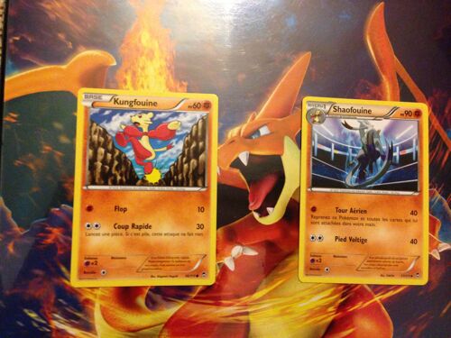 Kungfouine 56/111 Shaofouine 57/111 Xy Poing Furieux