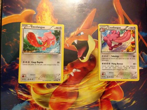 Excelangue 78/111 Coudlangue 79111 Xy Poing Furieux