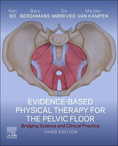 Evidence-Based Physical Therapy For The Pelvic Floor