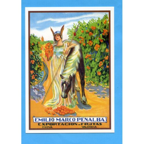 Carte  Postale  Neuve  Fruit  Cheval    Cp6