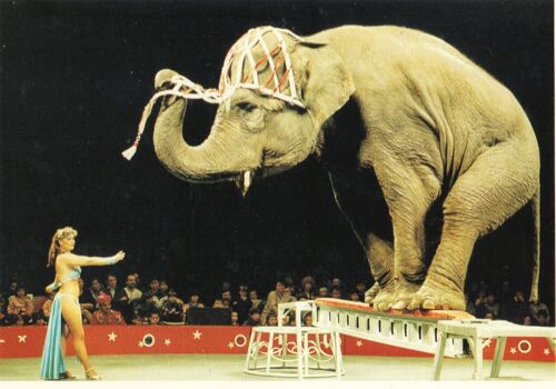 Cirque De Noel -Le Mans 1990