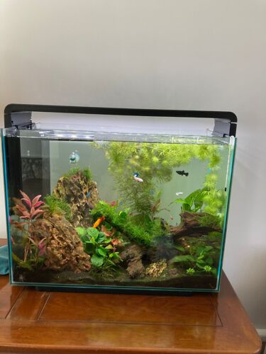 Vends Aquarium 80litres