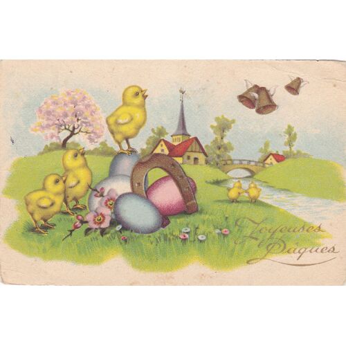 Oeufs Et Poussins