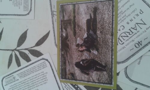 Autocollant Narnia Prince Caspian N° 12