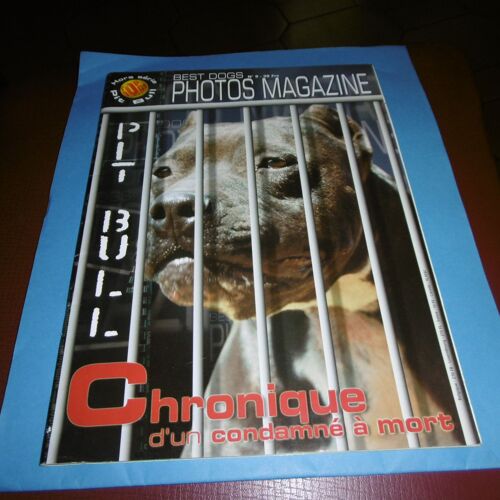 Magazine Presse Photos Magazine Best Dogs Hors Serie Pit Bull Revue L 4337 N° 9
