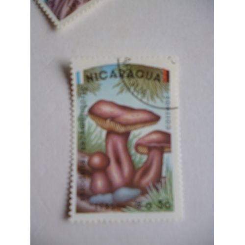 Timbre "Nicaragua 1985 :Champignon :Strobolomyces Retisporus".