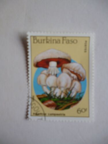 Timbre "Burkina Faso 1985: Champignon : Agaricus Campestris :Rosé Des Prés".
