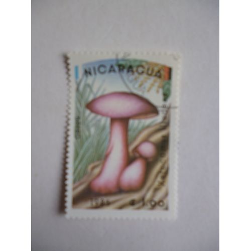 Timbre "Nicaragua 1985 :Champignon :Xerocomus Illudens".