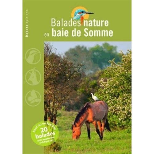 Balades Nature En Baie De Somme