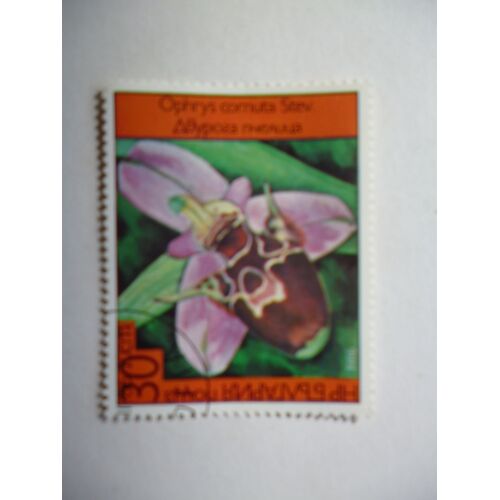 Timbre "Bulgarie 1986 : Ophrys Cornuta".