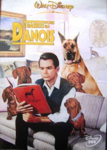 4 Bassets Pour Un Danois