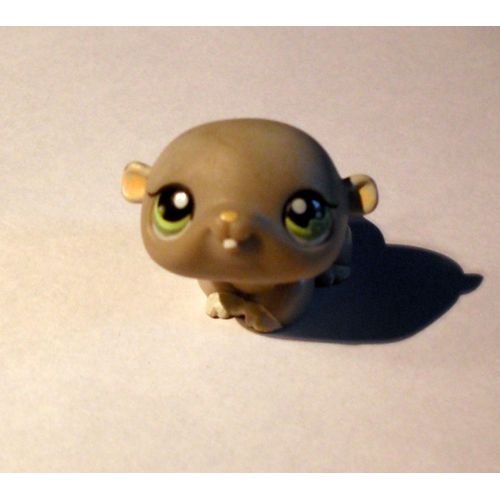 Petshop Hamster N°980