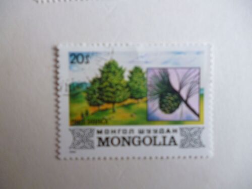 Timbre "Mongolie :Pinus Sibirica".