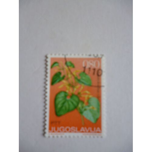 Timbre "Yougoslavie :Aristolochia Clematatis".