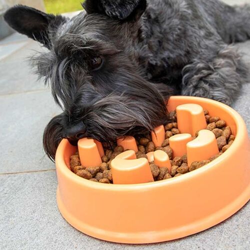 Shop-Story - Slowfi : Gamelle D'alimentation Anti-Glouton Pour Chiens
