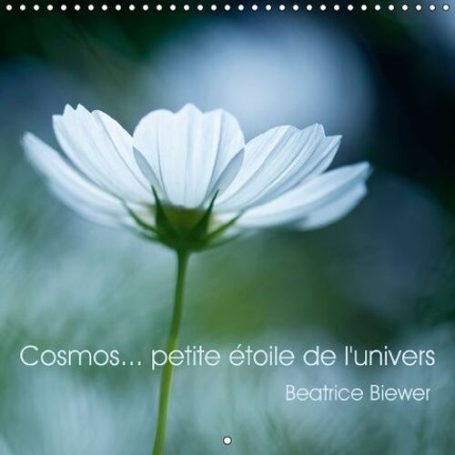 Cosmos - Petite Étoile De L'univers - Calendrier Mural 2016