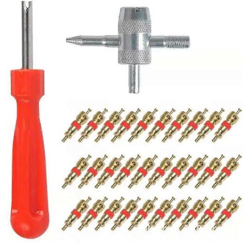32pcs For Valve Stem Core Remover Tire Repair Install Tool 4 In 1 Tyre For Valve