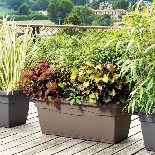 Deroma Bac A Fleurs Muret Day R Camel - Coloris Taupe - 80cm