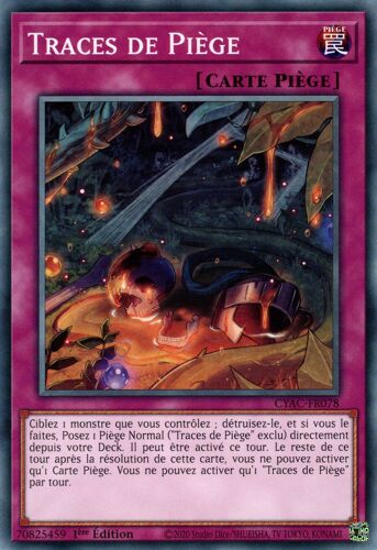 Cyac-Fr078 Traces De Piège