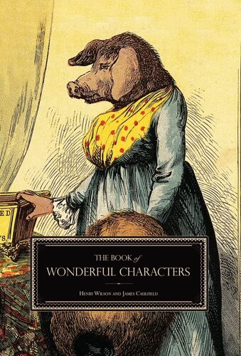 The Book Of Wonderful Characters