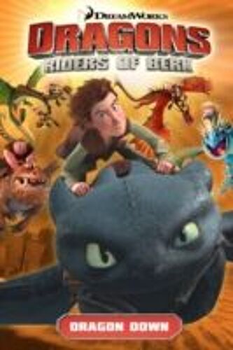 Dragons Riders Of Berk: Dragon Down