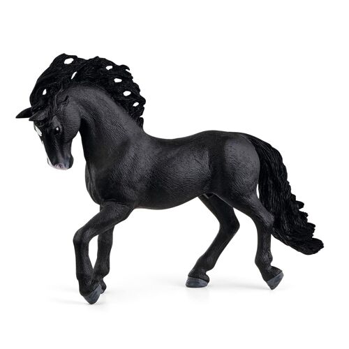 Horse Club Etalon pure race espagnole