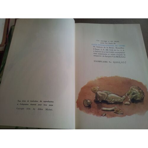Rebecca   de MAURIER (Daphné du )   Format Beau livre (Livre)