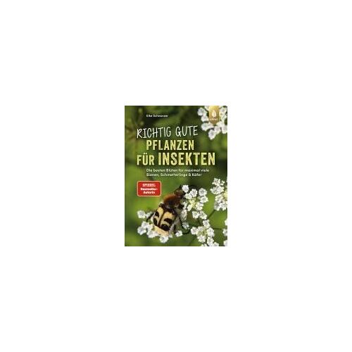 Richtig Gute Pflanzen Für Insekten