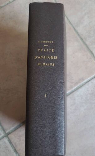 Traite D Anatomie Humaine