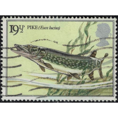 Royaume Uni 1983 Oblitéré Used Fish Poisson Esox Lucius Brochet Su