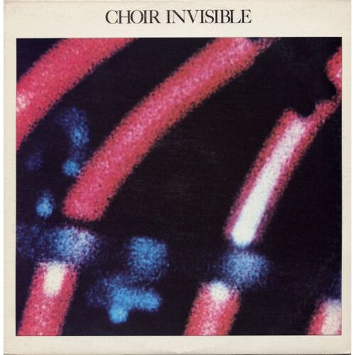 Choir Invisible " Choir Invisible "