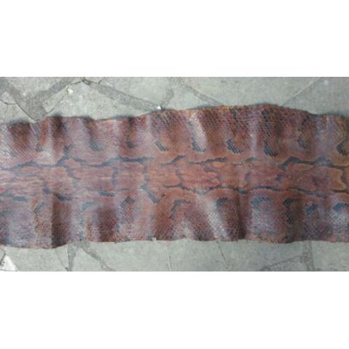 Peau De Python Annees 1960 3m60