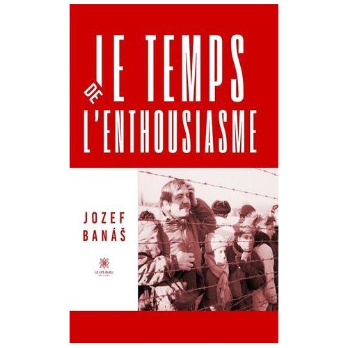 Le Temps De L'enthousiasme