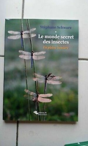 Le Monde Secret Des Insectes En Pleine Lumière
