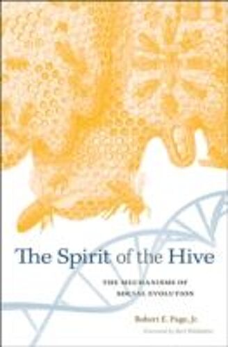 Spirit Of The Hive